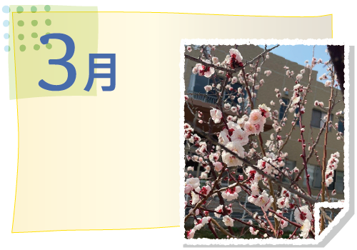 3月の活動イベント