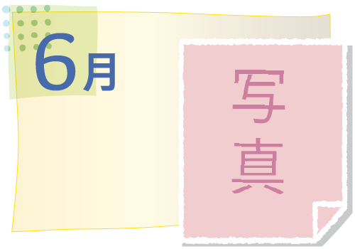 6月の活動イベント